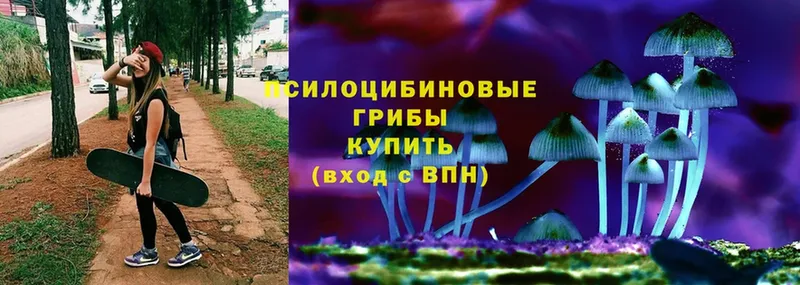 Галлюциногенные грибы Magic Shrooms Гагарин